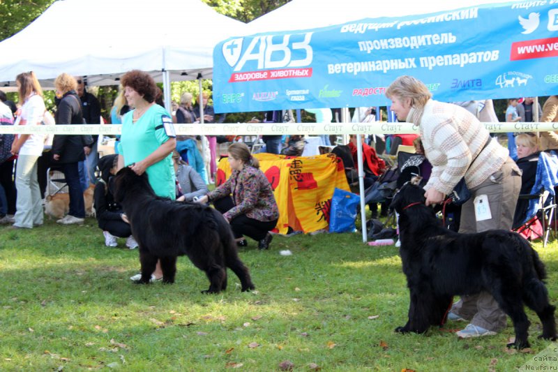 Фотография № 164967