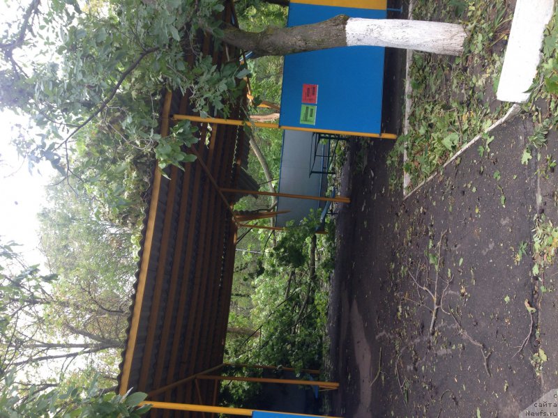 Фотография № 164998