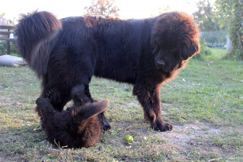 Фотография № 165051