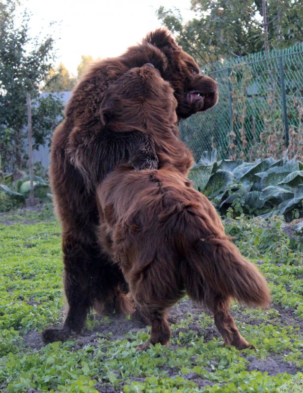 Фотография № 165055