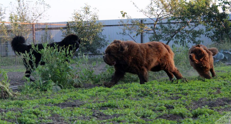 Фотография № 165059