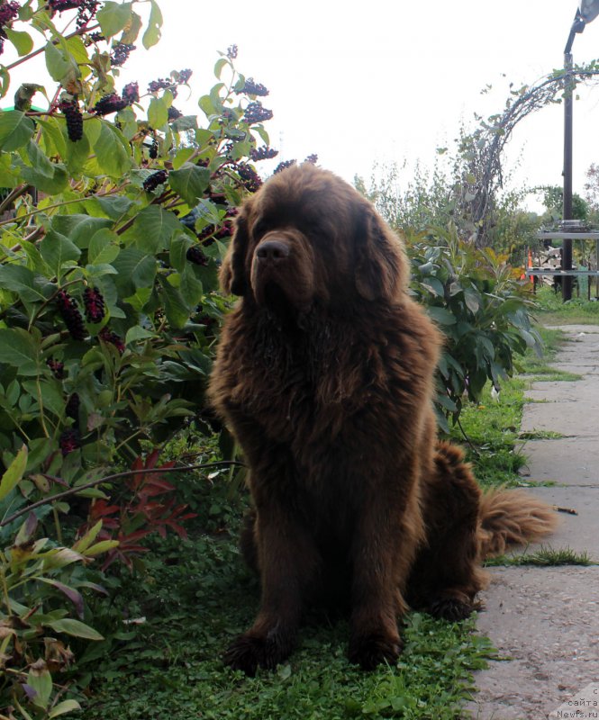 Фотография № 165063