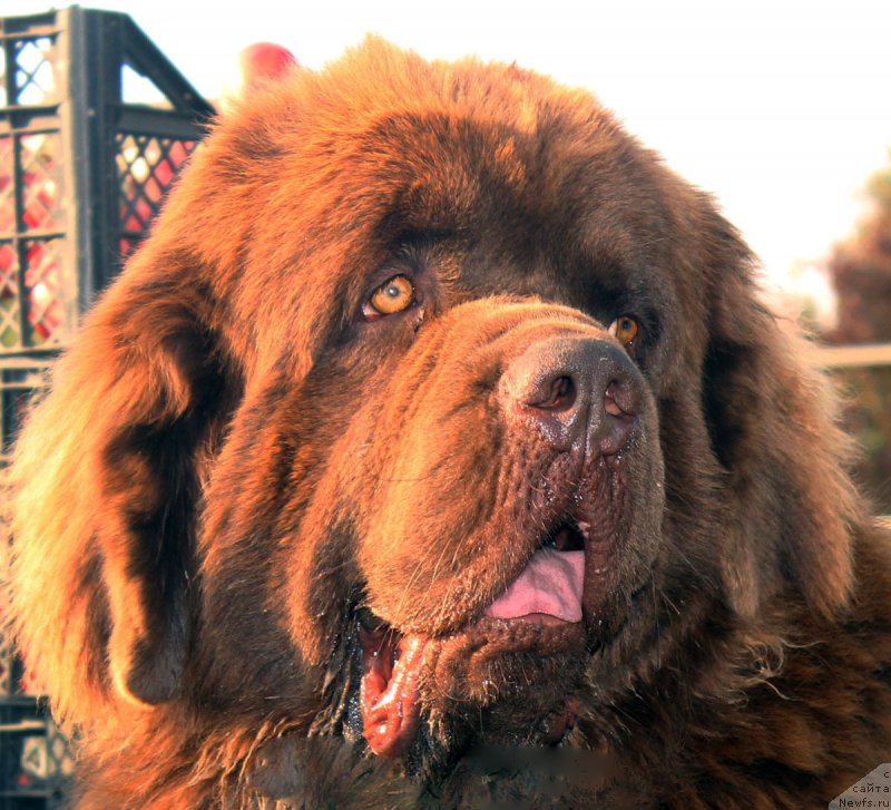 Фотография № 165065