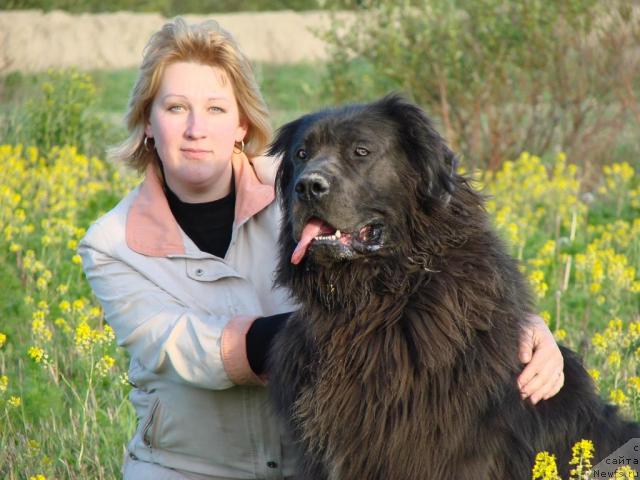 Фото: Lyudmila Fomicheva (Людмила Фомичева)