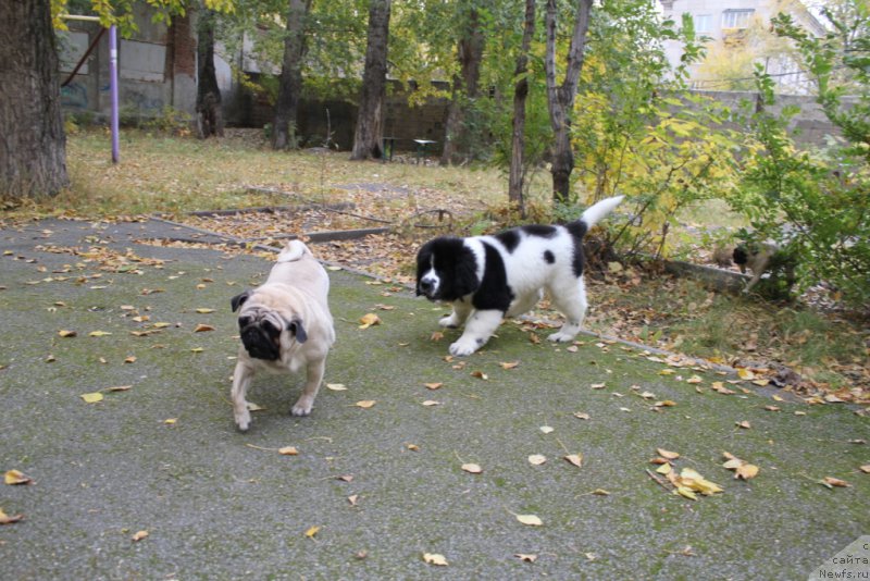 Фотография № 165081