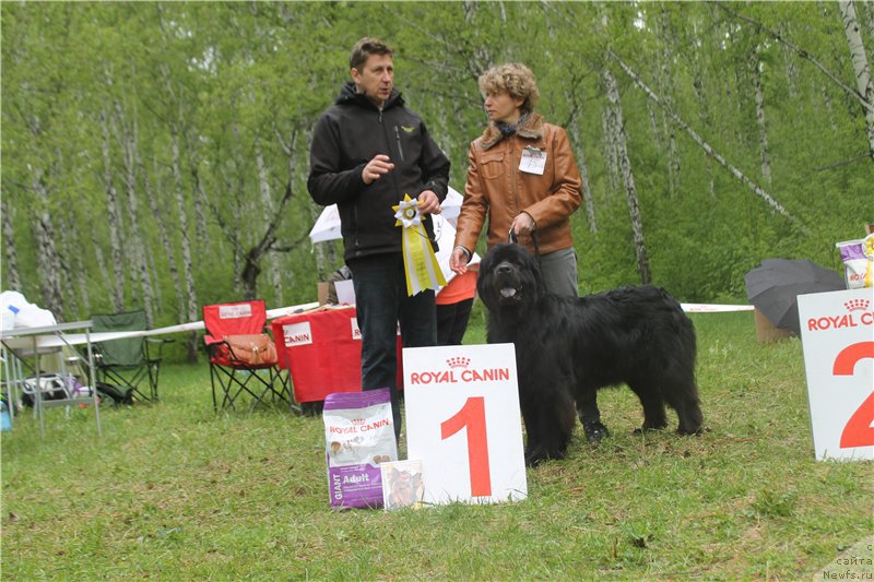 Фото: Царевна Ночи от Сибирского Медведя