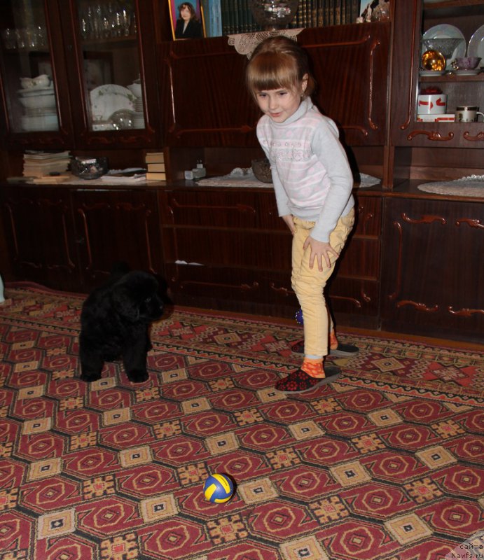 Фотография № 165122