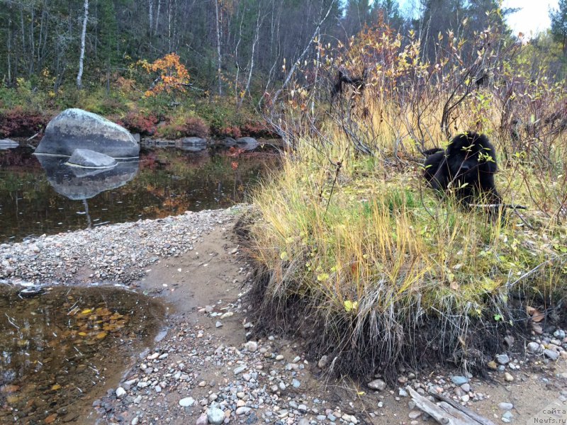 Фотография № 165151