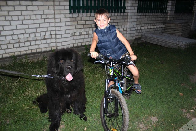 Фотография № 165153