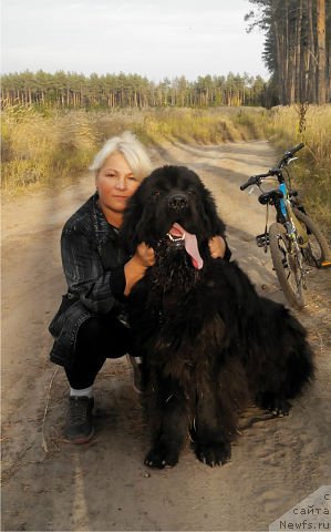 Фотография № 165155