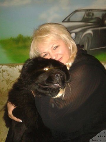 Фотография № 165156