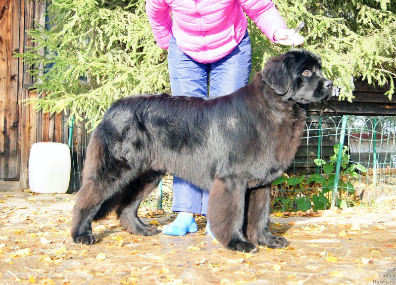 Фотография № 165161