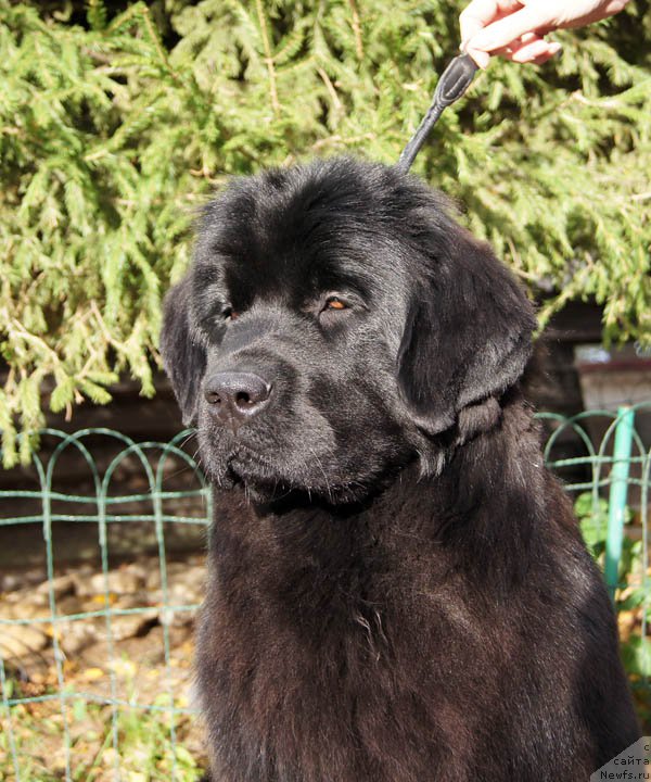 Фотография № 165166