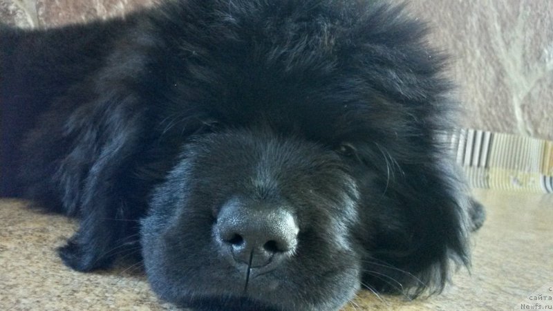 Фотография № 165168