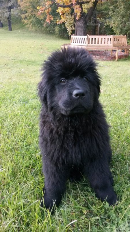 Фотография № 165169