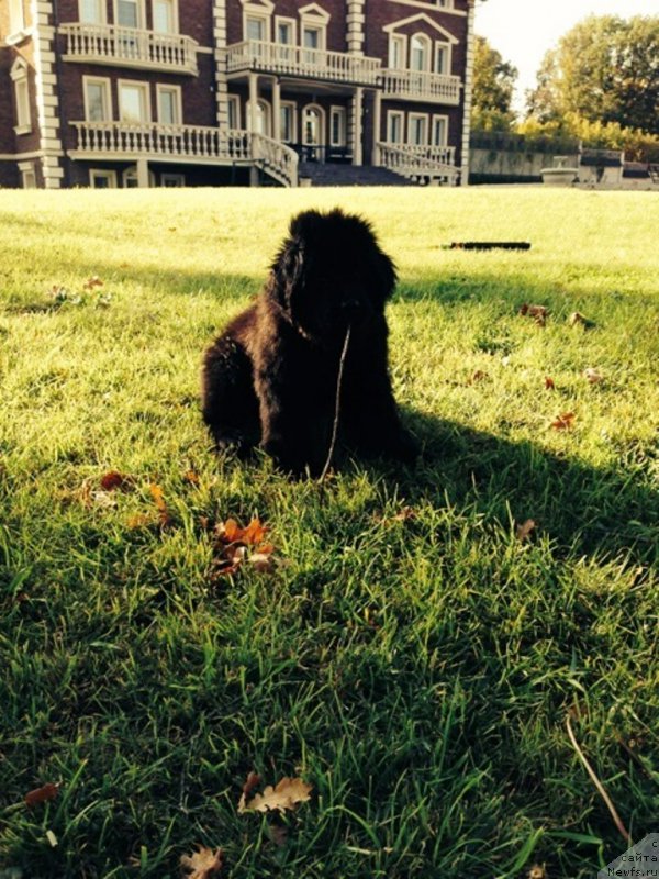 Фотография № 165171