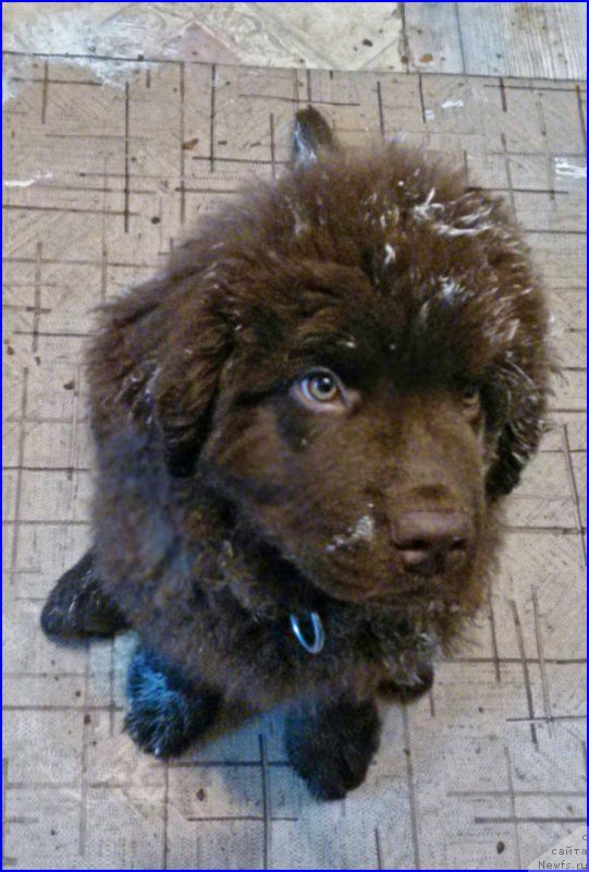 Фотография № 165187