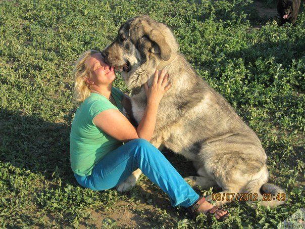 Фотография № 165215