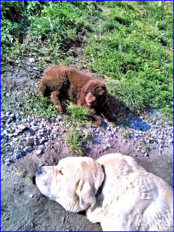 Фотография № 165225