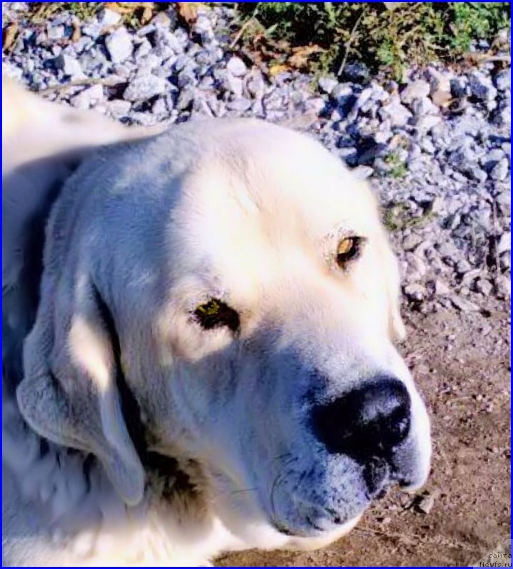 Фотография № 165232