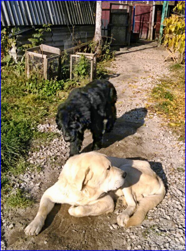 Фотография № 165233