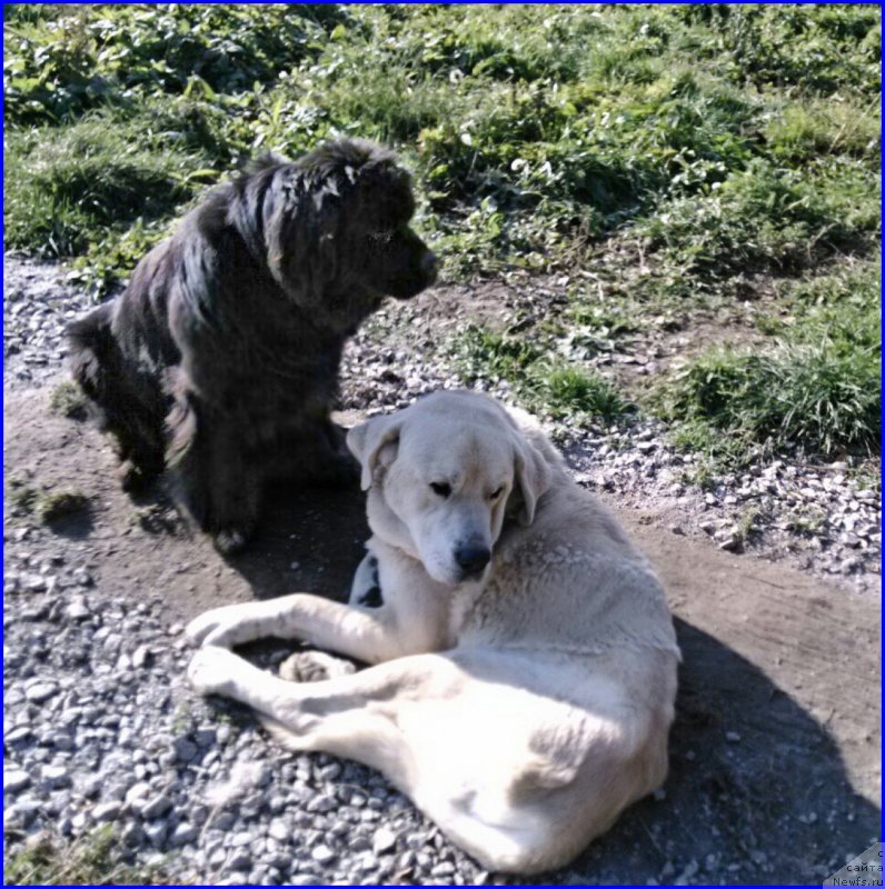 Фотография № 165234