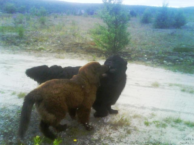 Фотография № 16526