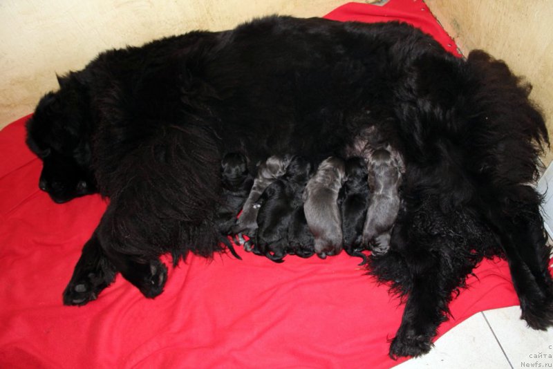 Фотография № 165277