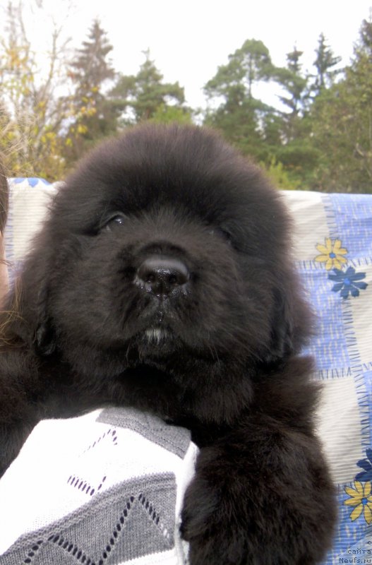 Фотография № 165289