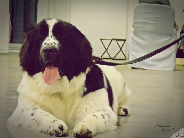 Фотография № 165297