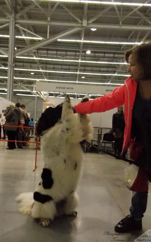 Фотография № 165298