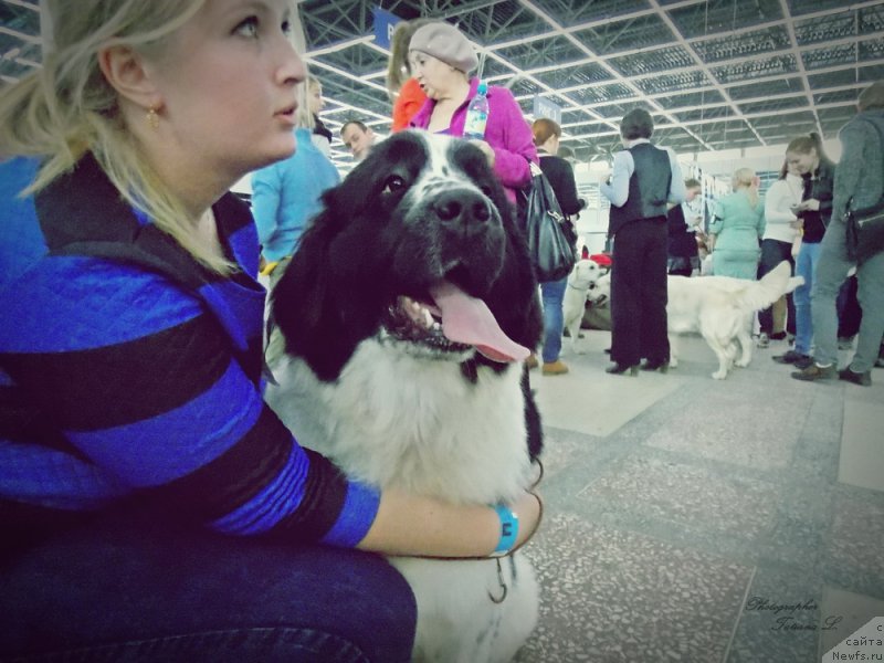 Фотография № 165299