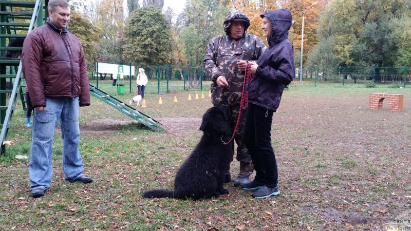 Фотография № 165305