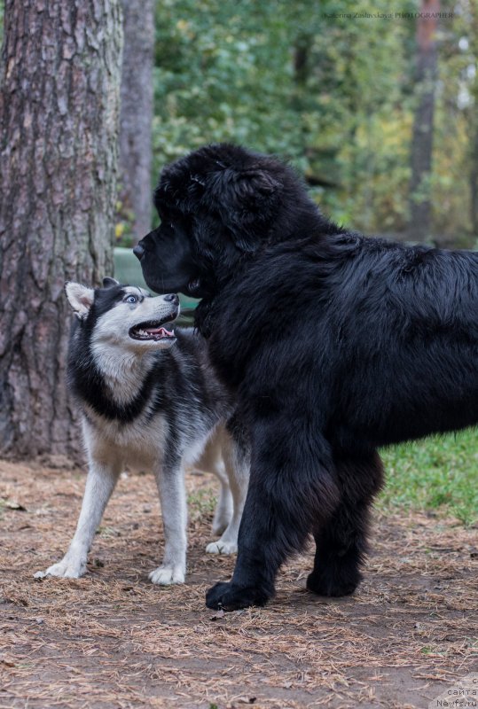 Фотография № 165335