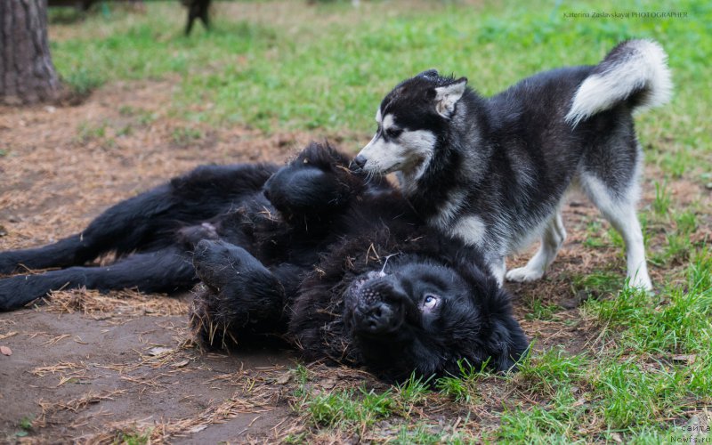 Фотография № 165336