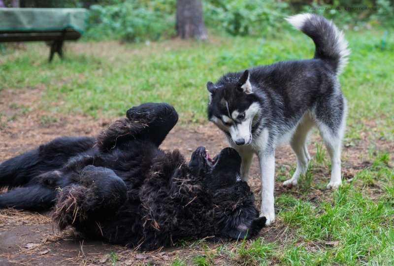 Фотография № 165337