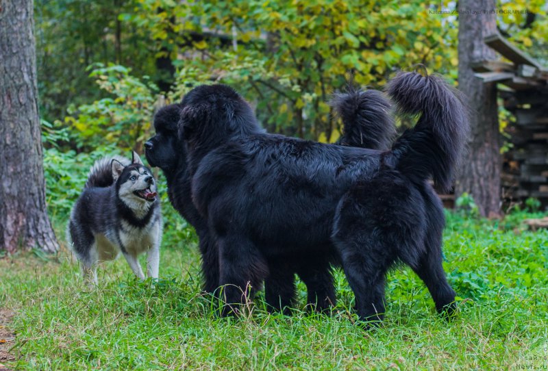 Фотография № 165338