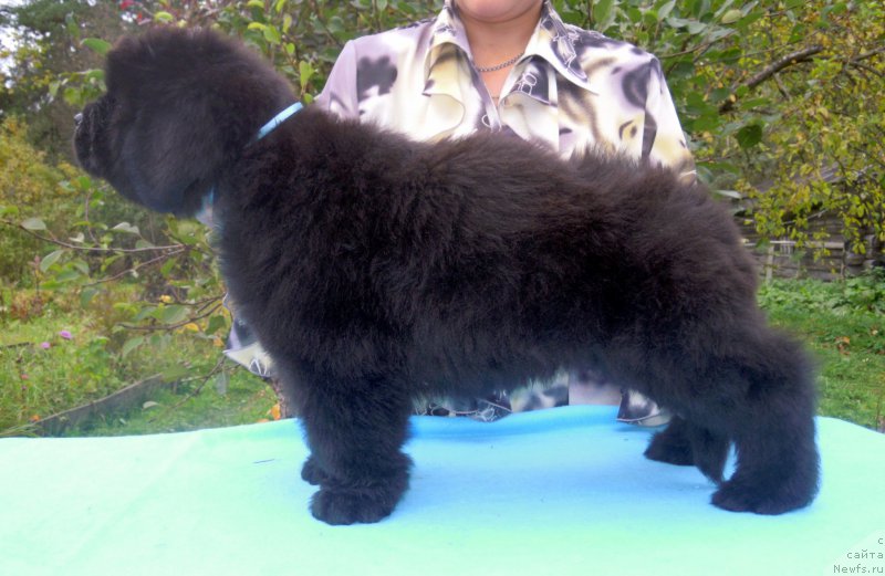 Фотография № 165351