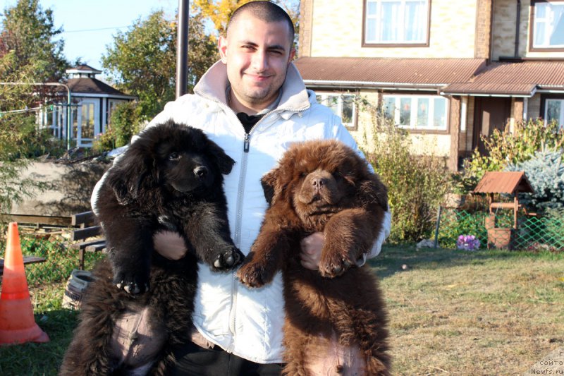 Фотография № 165414