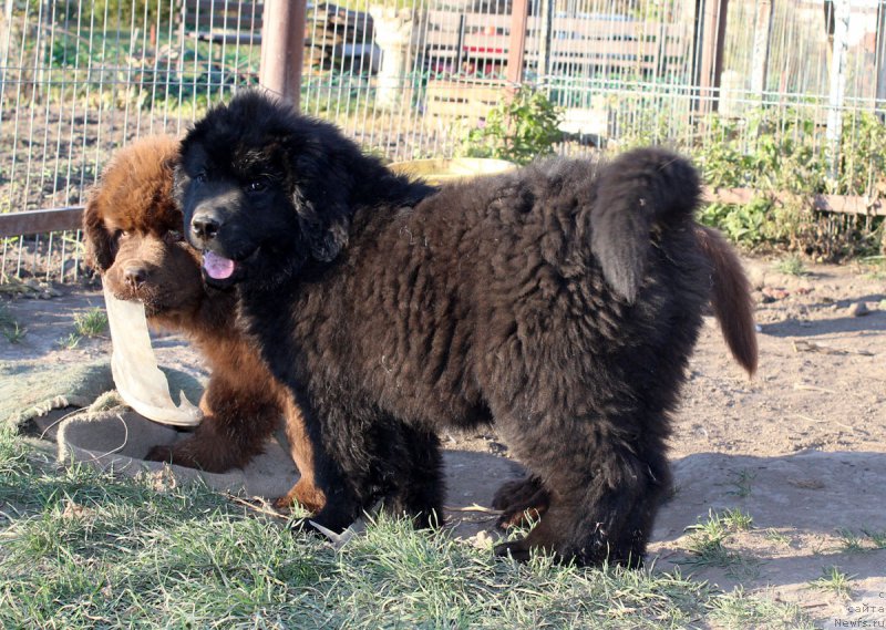 Фотография № 165417