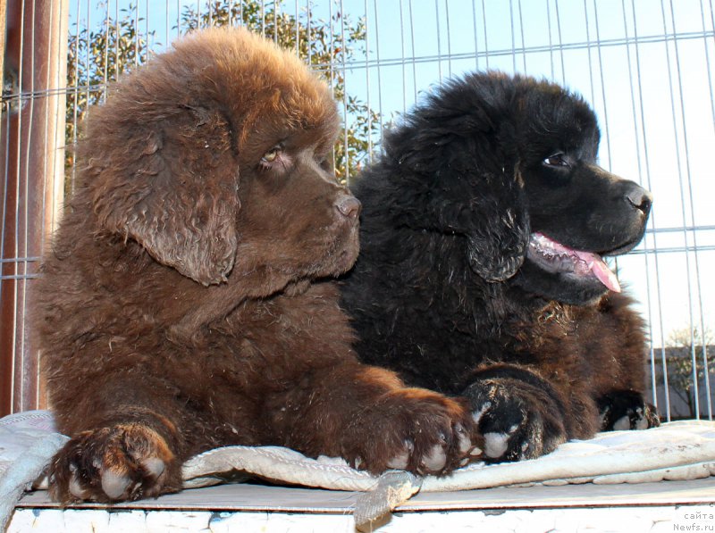 Фотография № 165418