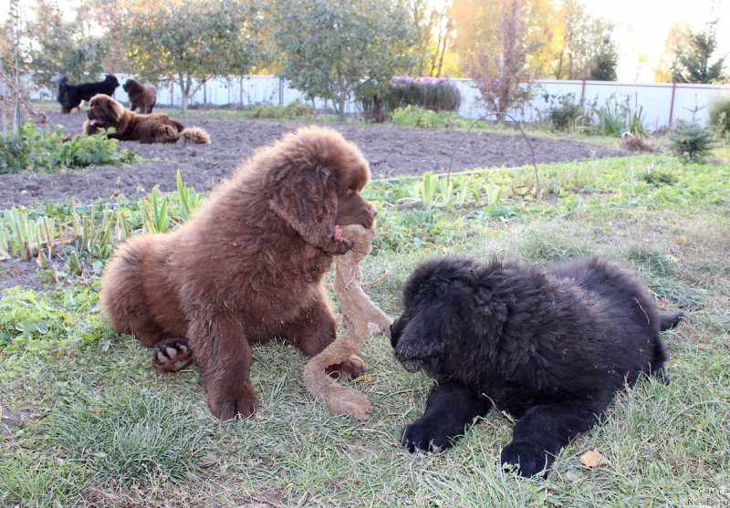 Фотография № 165421