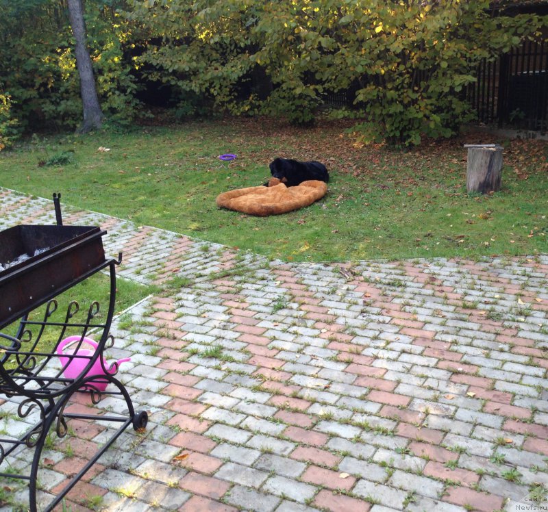 Фотография № 165448