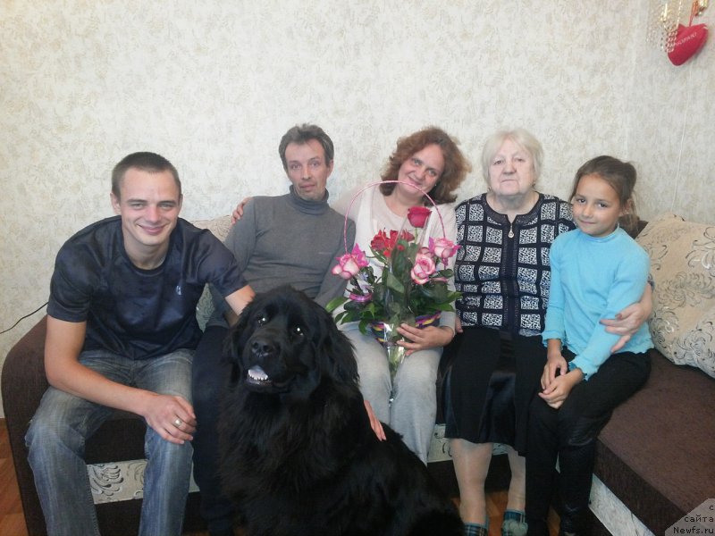 Фотография № 165456