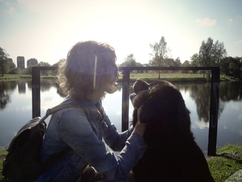 Фотография № 165457