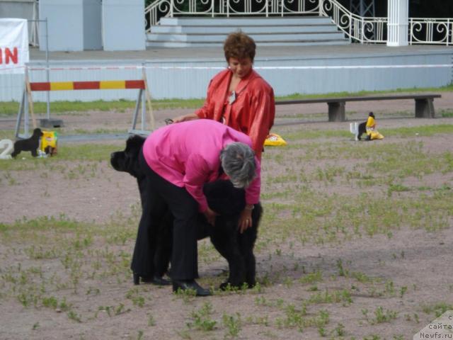 Фотография № 16551