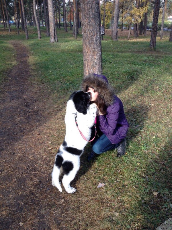 Фотография № 165512