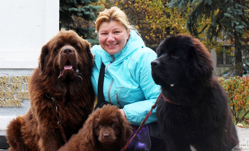 Фотография № 165514