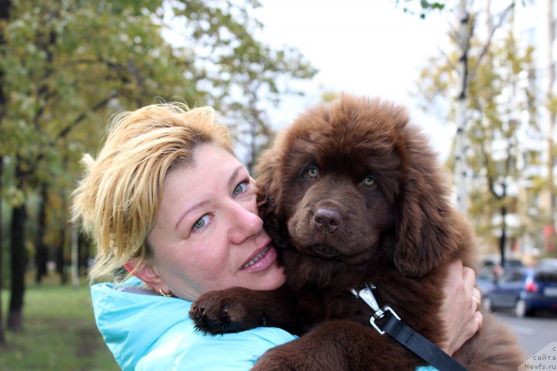 Фотография № 165517