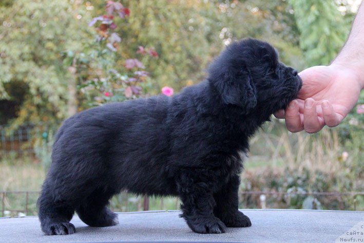 Фотография № 165536